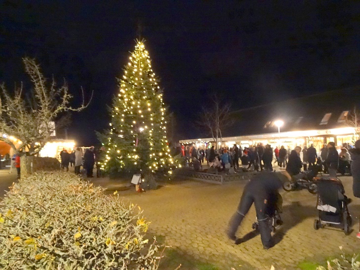 Juletræet blev symbolsk tændt med de mange fakler, der i optog var bragt til Centret fra Viskinge Kirke som et symbol på fred. Foto: F.P.